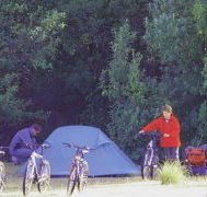 Maria Island Camping Ground - Surfers Gold Coast