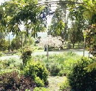 Cherry Park Estate - Surfers Gold Coast