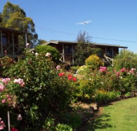 Mole Creek Holiday Village - Surfers Gold Coast