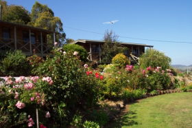 Mole Creek Holiday Village - Surfers Gold Coast 0