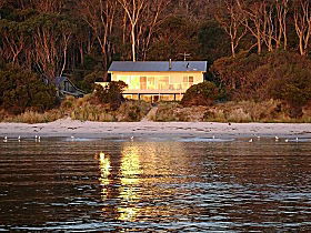White Beach TAS Surfers Gold Coast