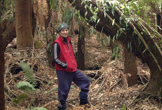 Forest Walks Lodge - Eco-Accommodation - Surfers Gold Coast 3