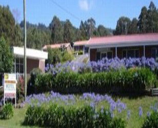 Kermandie Lodge - Surfers Gold Coast 1