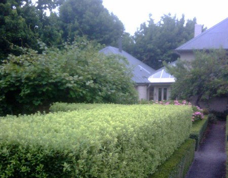 Old Wesleydale Heritage Accommodation - Surfers Gold Coast 3