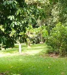 Kingfisher Park Birdwatchers Lodge - Surfers Gold Coast 0