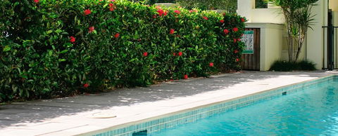 Cairns Beachfront Apartment - Surfers Gold Coast 5