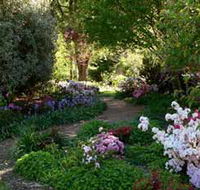 Wombat Hill Bed and Breakfast - Surfers Gold Coast
