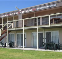 Coral Tree Lodge Tourist Park - Surfers Gold Coast
