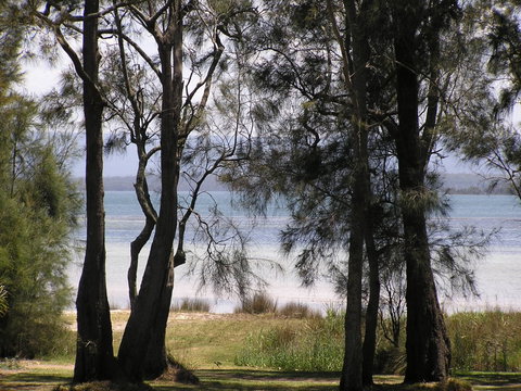 A Paradise Bungalow Waterfront - Surfers Gold Coast 5