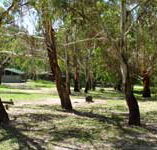 Woods Reserve - Surfers Gold Coast