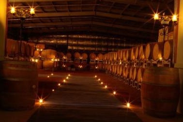 Warrenmang Vineyard & Resort - Surfers Gold Coast 5