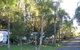 Lismore Palms Caravan Park - thumb 1