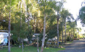 Lismore Palms Caravan Park - Surfers Gold Coast 1
