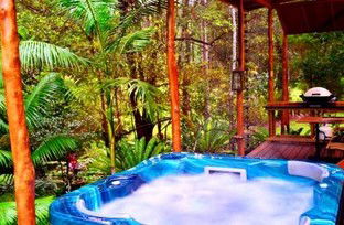 A Waterfall Hideout-Rainforest Cabin For Couples - Surfers Gold Coast 5