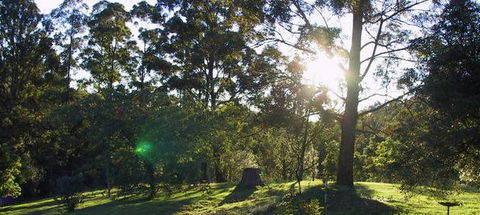 Calurla Chalets And Cottages - Surfers Gold Coast 0