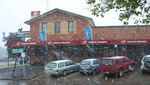 Snowgoose Hotel Motel - Surfers Gold Coast 0