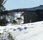 Barina Milpara Lodge - Surfers Gold Coast