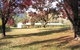 Talbingo Mountain Retreat - thumb 4