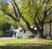 Tumbarumba Creek Caravan Park - Surfers Gold Coast