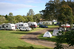 Dawson River Tourist Park - Surfers Gold Coast 1