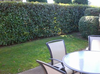 Boronia Lodge Apartments - Surfers Gold Coast 3