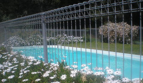 Cedargreen - Surfers Gold Coast 1