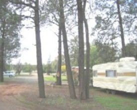 The Kelpie Caravan Park - Surfers Gold Coast 0