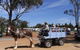 Ariah Park Camping Ground - thumb 1