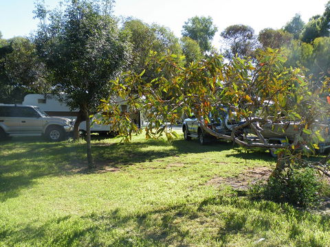 Kyalite Caravan Park - Surfers Gold Coast 3