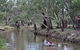 Billabourie Riverside Tourist Park - thumb 1
