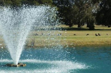 Howlong Country Golf Club & Motel - Surfers Gold Coast 5