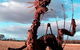 Lockhart Caravan Park - thumb 1