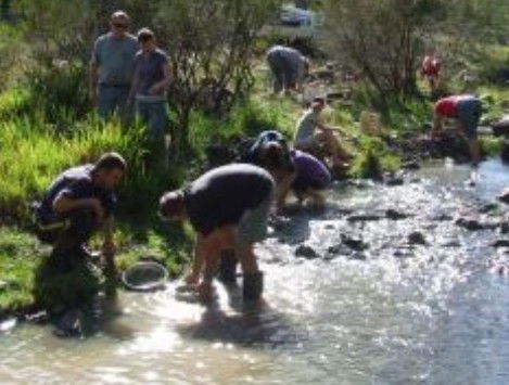 Bullock Mountain Homestead - Surfers Gold Coast 1