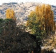 Birches Bed and Breakfast at Nundle - Surfers Gold Coast