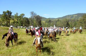 Camp Cobark - Surfers Gold Coast 0