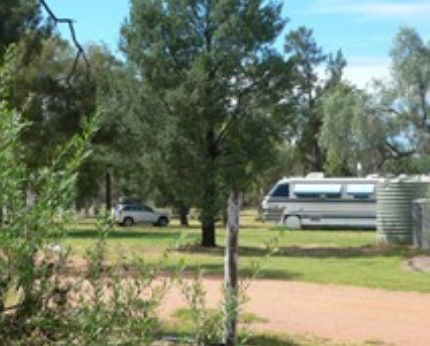 Camp Cypress Ltd - Surfers Gold Coast 2