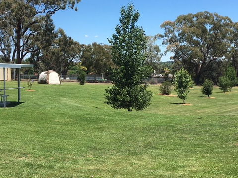 Canobolas Caravan Park - Surfers Gold Coast 3