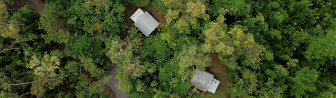 Rainforest Ranch - Surfers Gold Coast 5