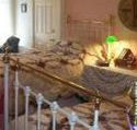 A Winter-Rose Cottage Bed and Breakfast - Surfers Gold Coast