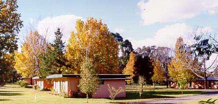 Castlereagh Village Holiday Units - Surfers Gold Coast 4