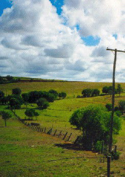 Mango Hill Cottages Bed And Breakfast - Surfers Gold Coast 2