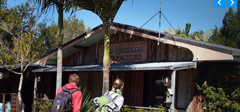 Woolshed Backpackers - Surfers Gold Coast 5