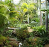 Chamomile Bed and Breakfast - Surfers Gold Coast