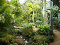 Chamomile Bed And Breakfast - Surfers Gold Coast 0