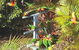 Chamomile Bed And Breakfast - thumb 1