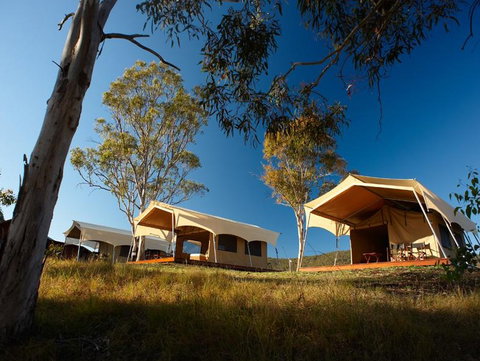Spicers Canopy - Surfers Gold Coast 3