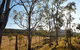 Spicers Canopy - thumb 4