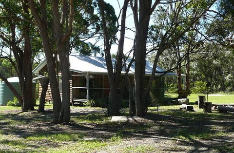 Possums Hollow And Hooters Hut - Surfers Gold Coast 5