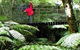 Katandra Mountain Farm House - thumb 2