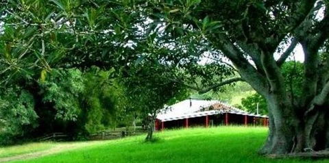 Katandra Mountain Farm House - Surfers Gold Coast 5
